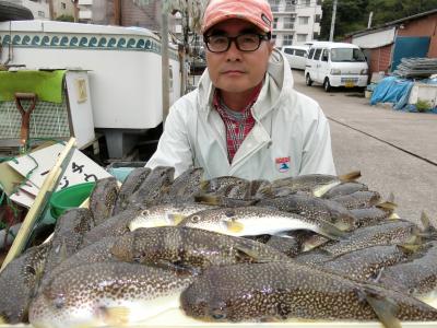 ショウサイフグ 釣り船 鴨居大室 一郎丸 東京湾 神奈川県 横須賀 三浦