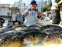 ふぐ釣り好調です！！