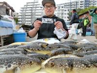 ふぐ釣り好調です！！