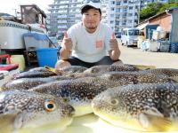 ふぐ釣り好調です！！