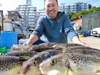 ふぐ釣り好調です！！