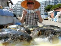 ふぐ釣り好調です！！