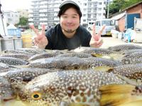 ふぐ釣り絶好調です！！