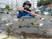 ふぐ釣り絶好調です！！