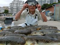 ふぐ釣り好調です！！