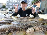 ふぐ釣り好調です！！