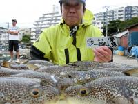 ふぐ釣り好調です！！