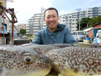 ふぐ釣り絶好調です！！