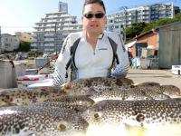 ふぐ釣り絶好調です！！