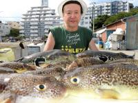 ふぐ釣り好調です！！