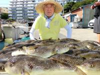 ふぐ釣り絶好調です！！