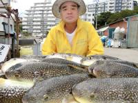 ふぐ釣り好調です！！