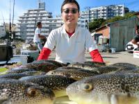 ふぐ釣り好調です！！