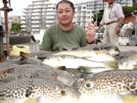 ふぐ釣り絶好調です！！