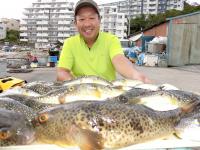 ふぐ釣り絶好調です！！