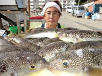 ふぐ釣り絶好調です！！