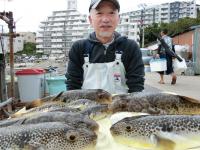 ふぐ釣り好調です！！