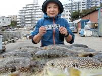 ふぐ釣り絶好調です！！