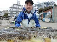 ふぐ釣り好調です！！