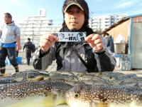 ふぐ釣り好調です！！