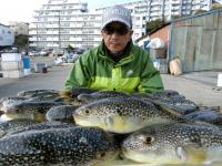 ふぐ釣り絶好調です！！