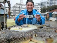 ふぐ釣り絶好調です！！