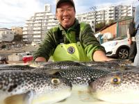 ふぐ釣り好調です！！