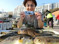 ふぐ釣り好調です！！