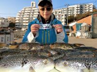 ふぐ釣り好調です！！