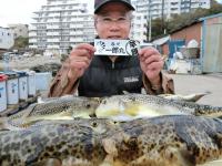 ふぐ釣り絶好調です！！