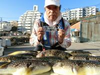 ふぐ釣り好調です！！