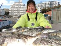 ふぐ釣り絶好調です！！