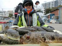 ふぐ釣り絶好調です！！