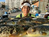 ふぐ釣り好調です！！