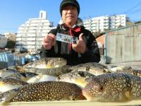 ふぐ釣り絶好調です！！