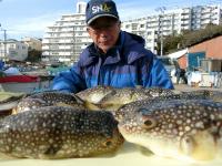 ふぐ釣り好調です！！