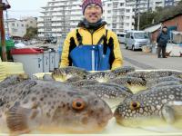 ふぐ釣り絶好調です！！