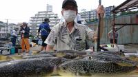 ふぐ釣り好調です！！