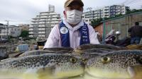 ふぐ釣り好調です！！