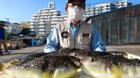 ふぐ釣り好調です！！