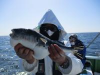 とらふぐ釣り