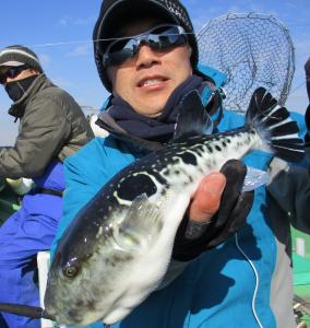 とらふぐ釣り