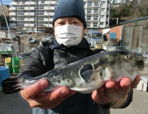 とらふぐ釣り