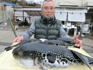 とらふぐ釣り