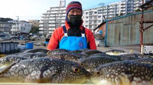 ふぐ釣り好調です！！