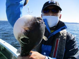 とらふぐ釣り