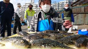 ふぐ釣り好調です！！