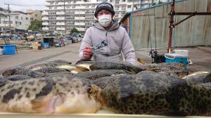 ふぐ釣り大漁です！！