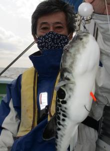 とらふぐ釣り