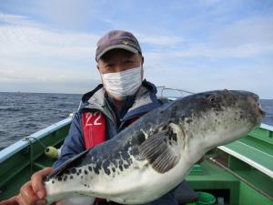 とらふぐ釣り